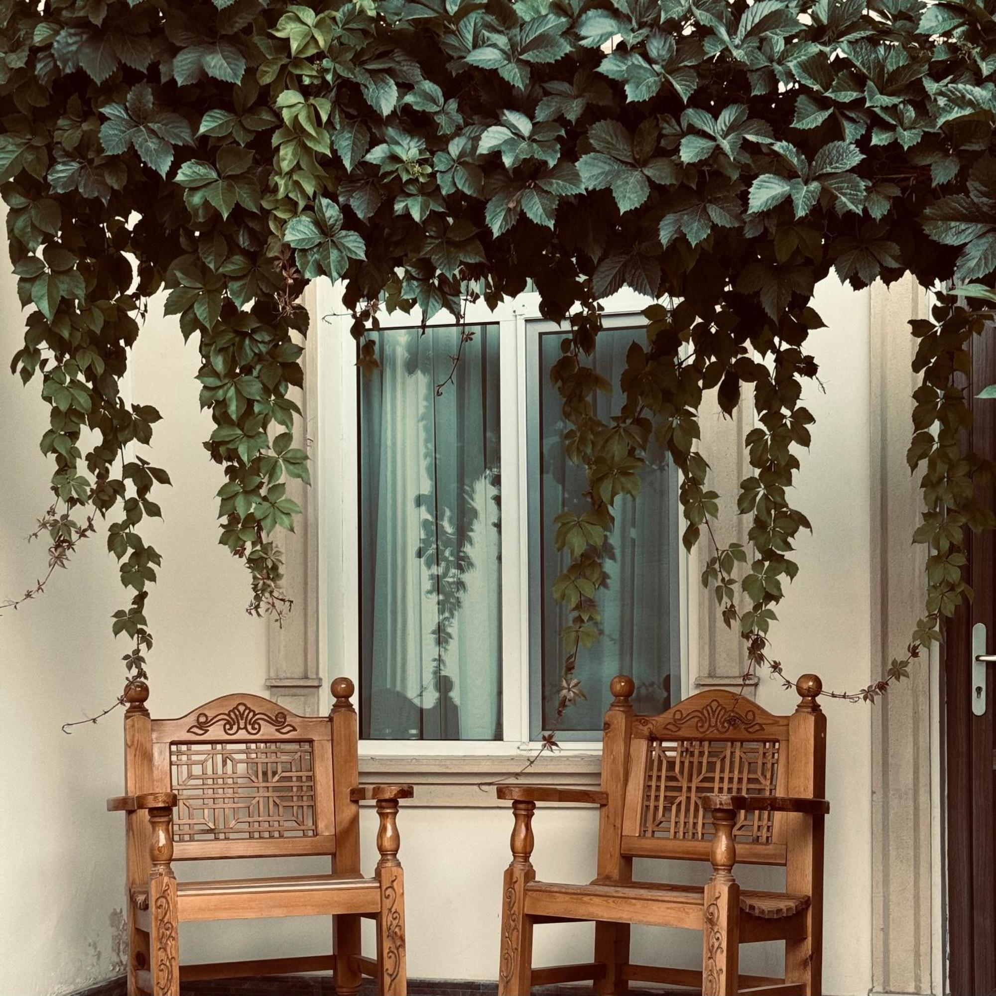The Loft Guest House 撒马尔罕 外观 照片